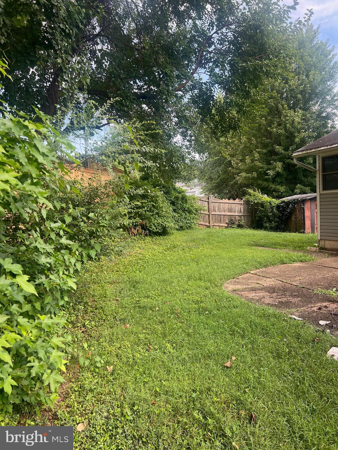 3025 Graham Road Falls Church, VA 22042 - Photo 23 of 31 Side yard
