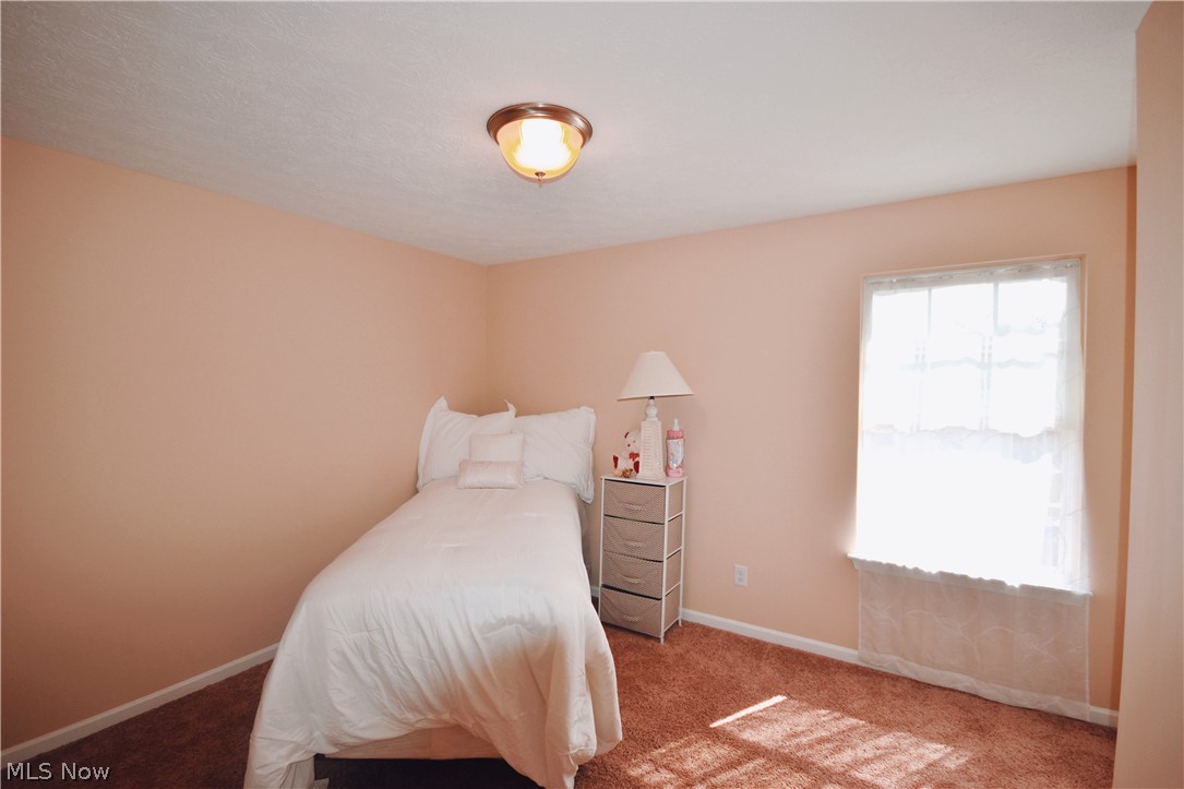 37226 Sandy Ridge Drive North Ridgeville, OH 44039 - Photo 15 of 25 Gallery Image 15