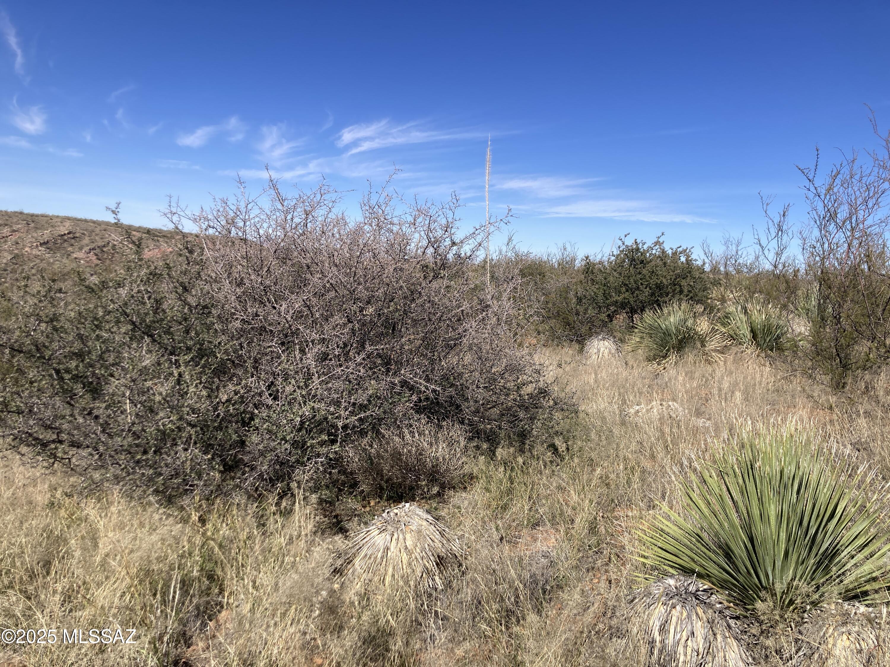 27809 South Wagon Rim Road Elgin, AZ 85611 - Photo 3 of 10