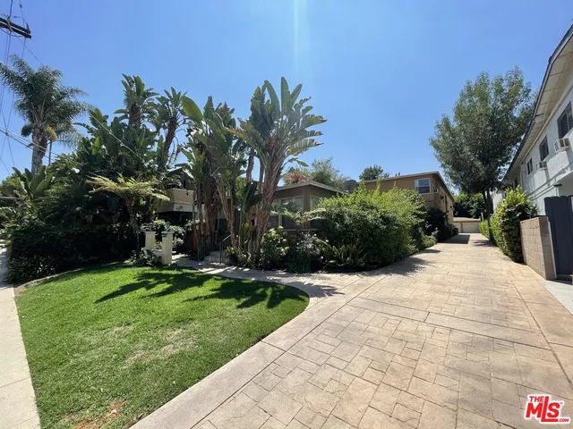 a row of palm trees sitting in a yard with swimming pool