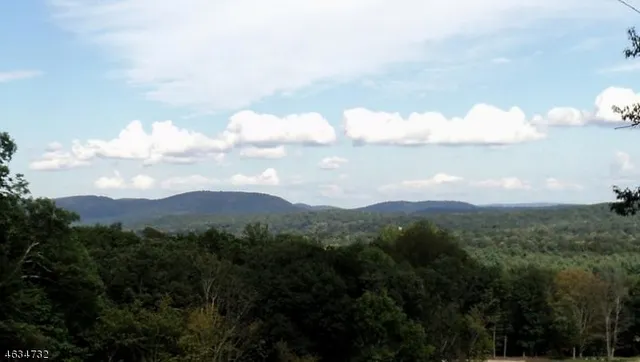 a view of a city and a lot of trees