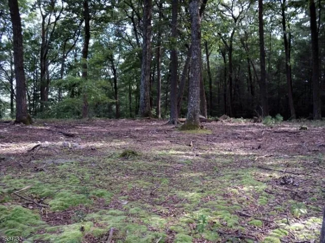 a view of outdoor space with trees