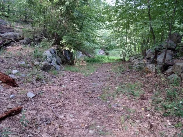 a view of a yard with large trees