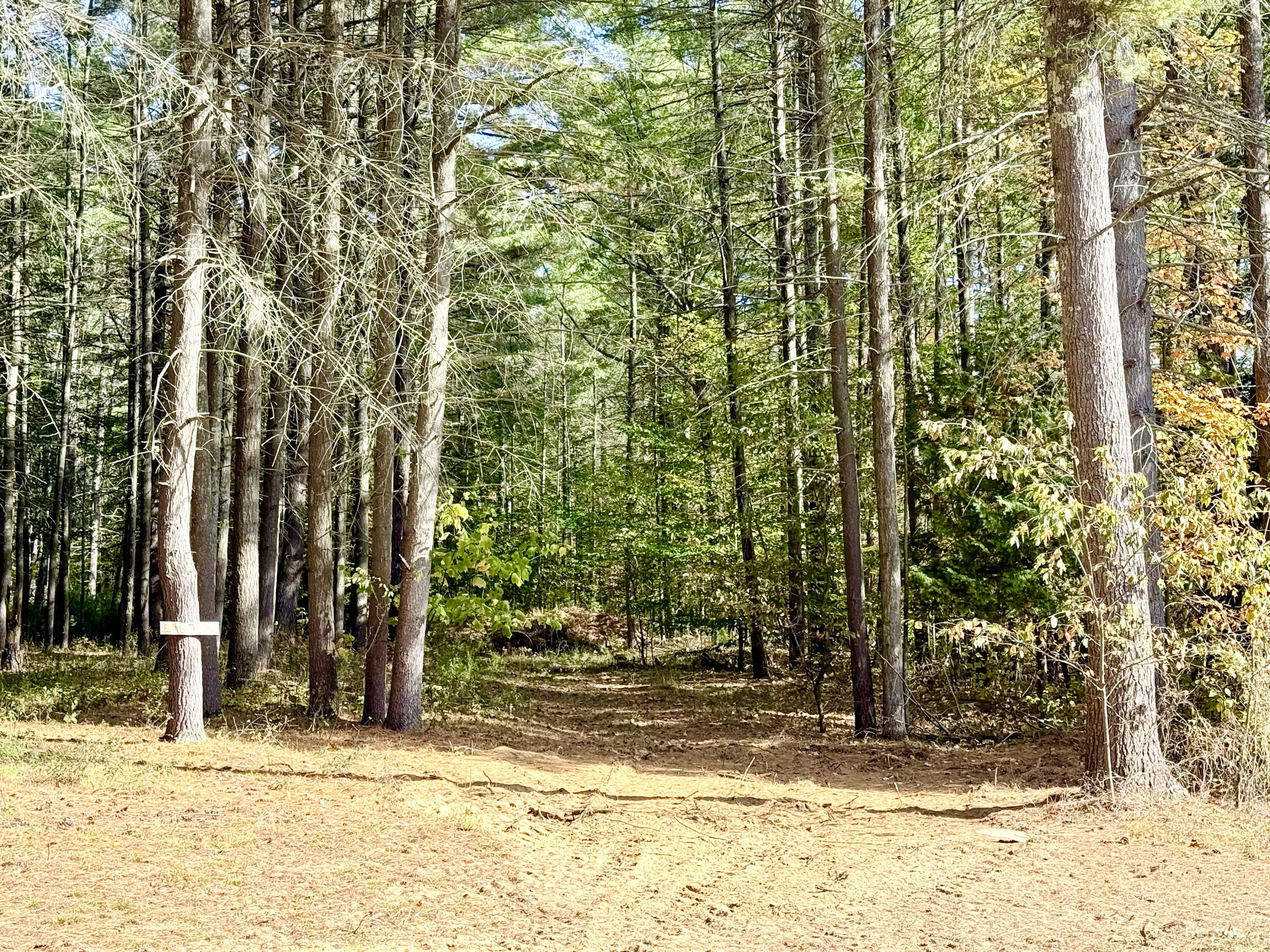 288 Giddings Road Peru, NY 12972 - Photo 16 of 20 Land