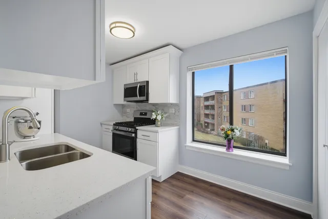 $265,000 | 263 South Clubhouse Drive, Unit 304, Palatine, IL 60074