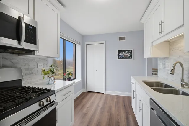 $265,000 | 263 South Clubhouse Drive, Unit 304, Palatine, IL 60074