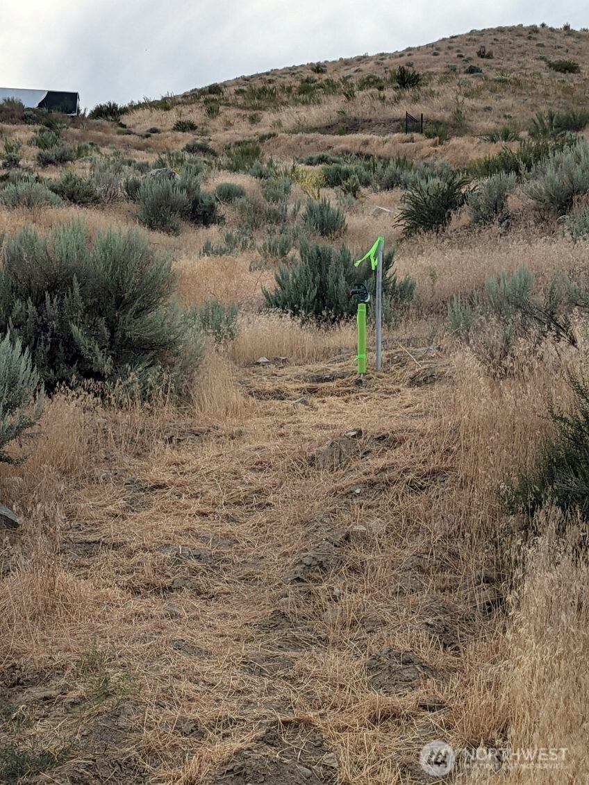 37 Osprey Nest Road Pateros, WA 98846 - Photo 11 of 13 a view of a dry field