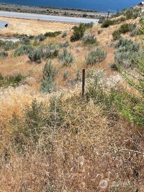 37 Osprey Nest Road Pateros, WA 98846 - Photo 5 of 13 a view of a dry yard
