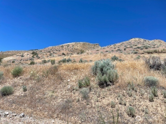 37 Osprey Nest Road Pateros, WA 98846 - Photo 10 of 13 a view of a large space with mountain in the background