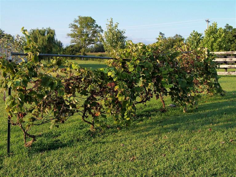 3794 Wades Mill Road Winchester, KY 40391 - Photo 30 of 32 Photo 30