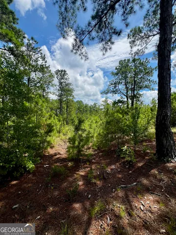 a view of a yard with plants and a bench
