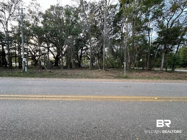 6 School House Road Grand Bay, AL 36541 - Photo 1 of 4 View from School House Rd