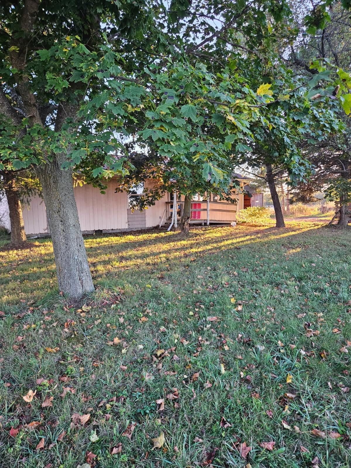 3922 Britton Road Bancroft, MI 48414 - Photo 1 of 11