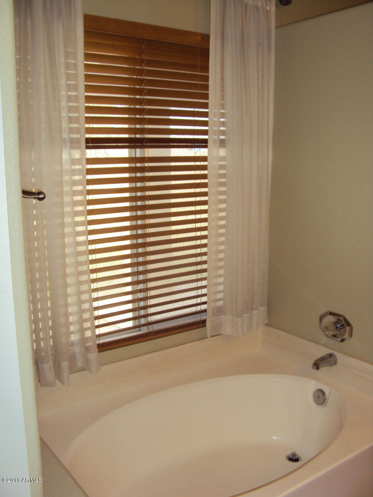 1930 East Vineyard Road Phoenix, AZ 85042 - Photo 10 of 36 Masterbath4