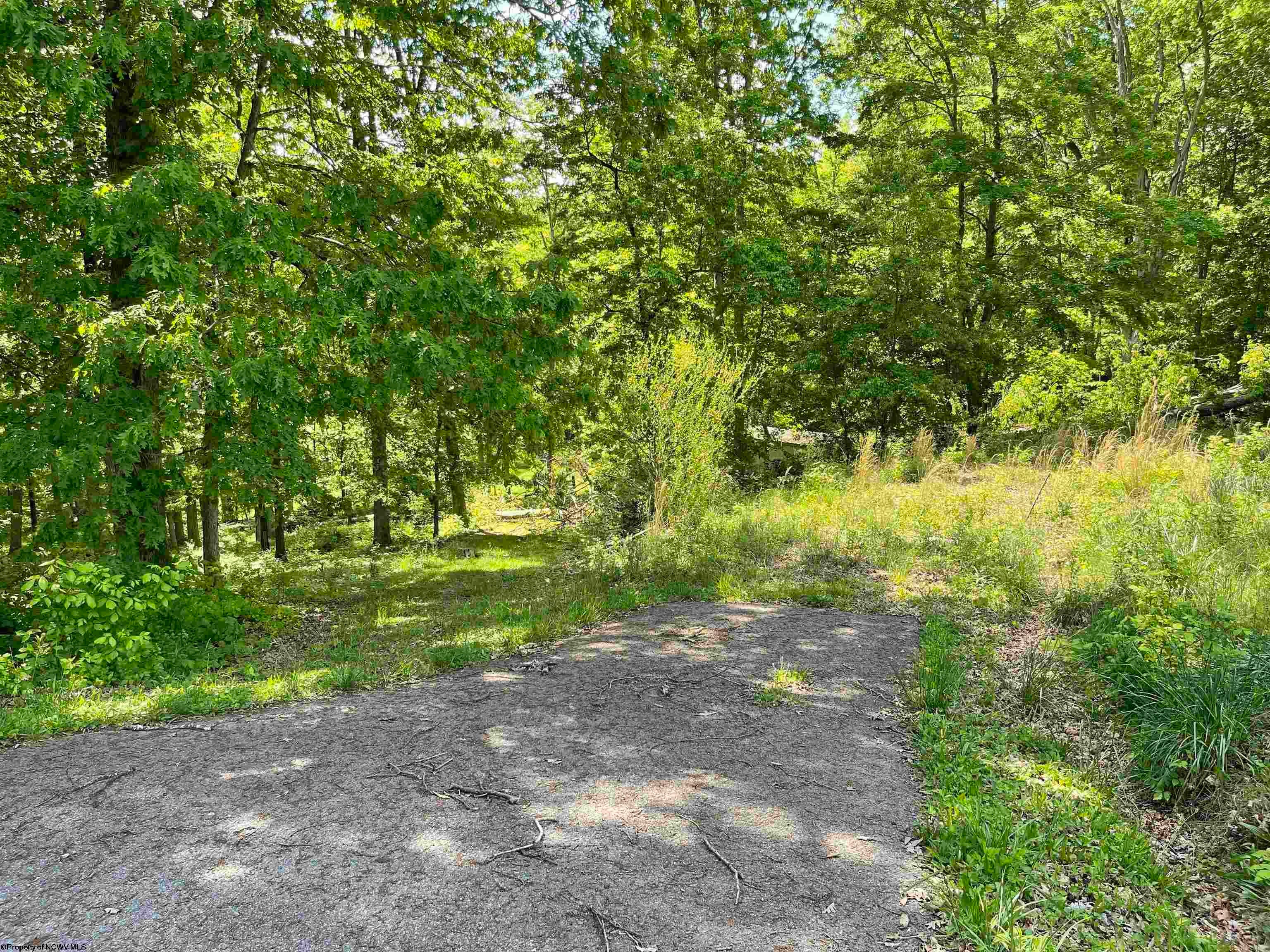 1123 Bakers Ridge Road Morgantown, WV 26508 - Photo 39 of 50 Gallery Image 39