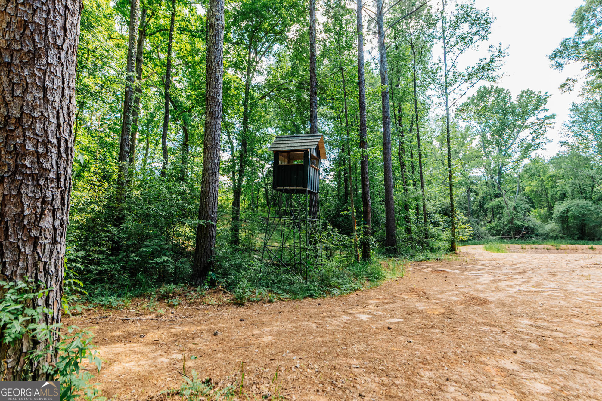 1661 Mule Creek Road Byron, GA 31008 - Photo 30 of 33 a pathway of a yard