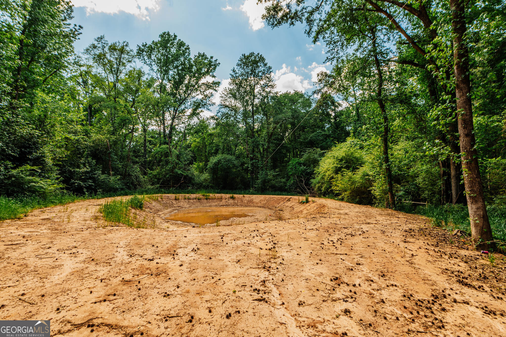 1661 Mule Creek Road Byron, GA 31008 - Photo 31 of 33 a view of a backyard of a house
