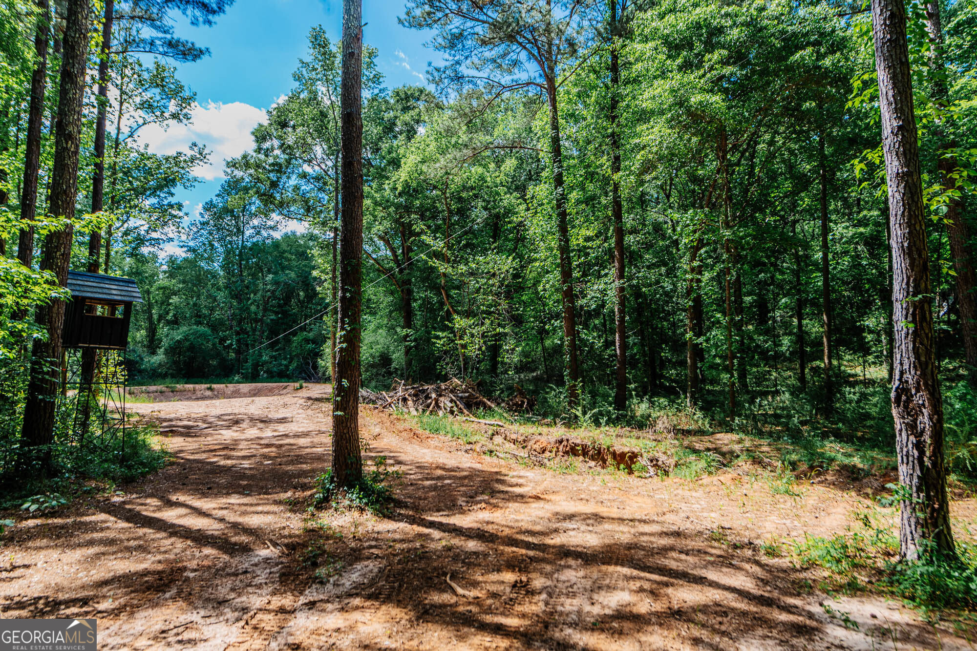 1661 Mule Creek Road Byron, GA 31008 - Photo 33 of 33 a view of a road with a tree