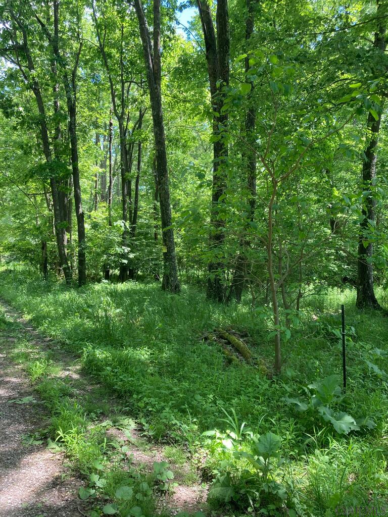 1215 Sandy Run Road, Unit ANGLE Confluence, PA 15424 - Photo 3 of 6 Gallery Image 3
