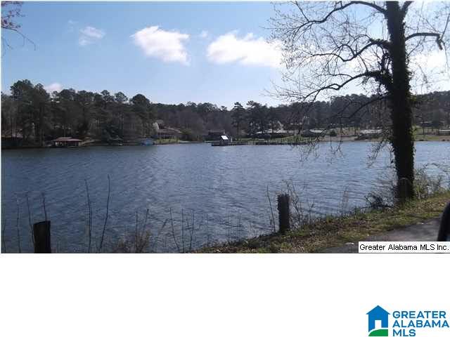 341 Lakeshore Lane Oneonta, AL 35121 - Photo 14 of 14