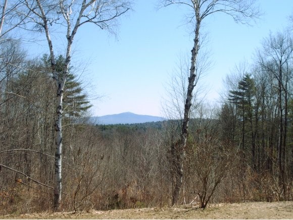 38 Zinn Road Chesterfield, NH 03462 - Photo 1 of 1