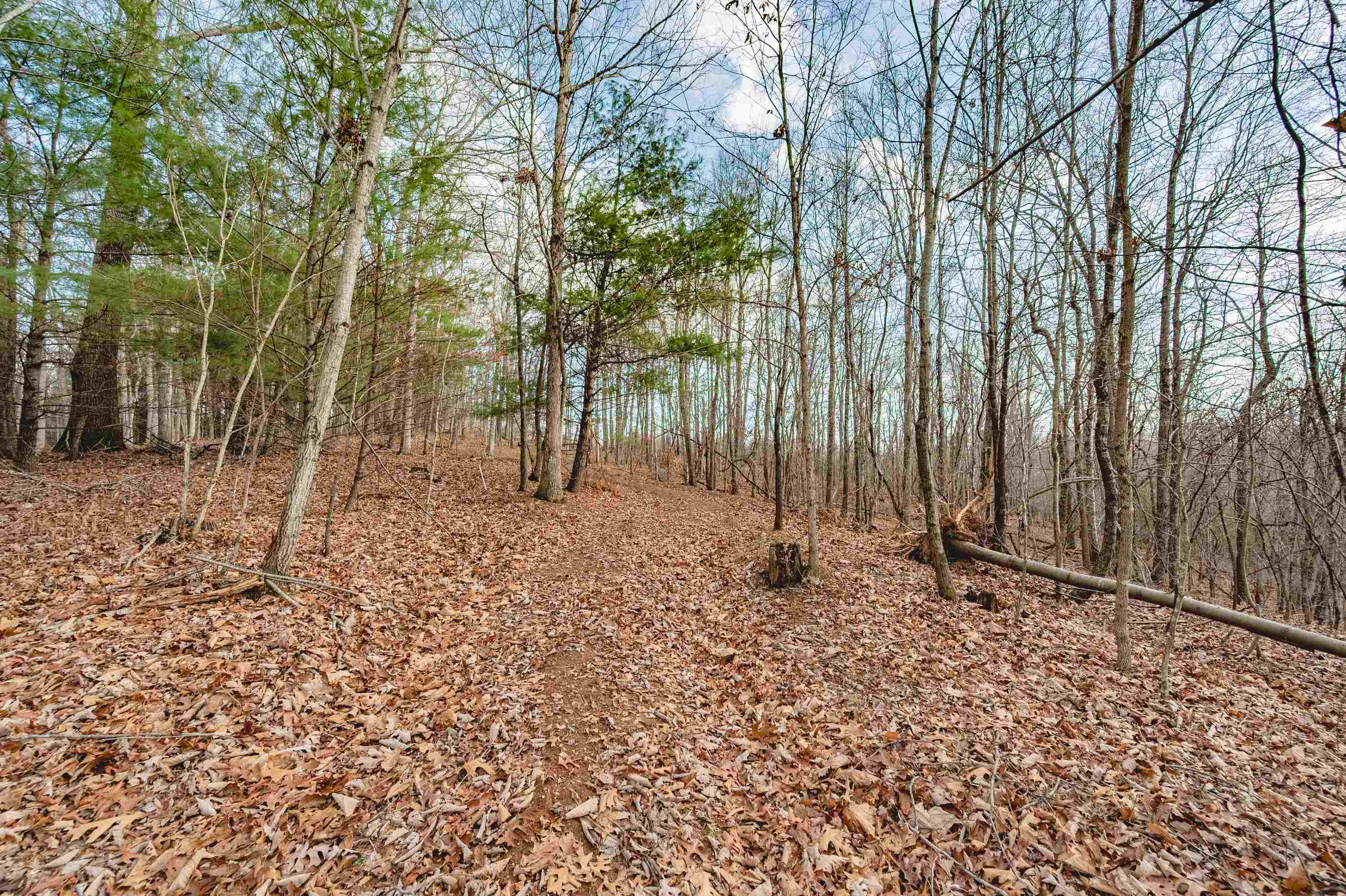 Tbd Spangler Mill Road Northeast Floyd, VA 24091 - Photo 25 of 44 Gallery Image 25