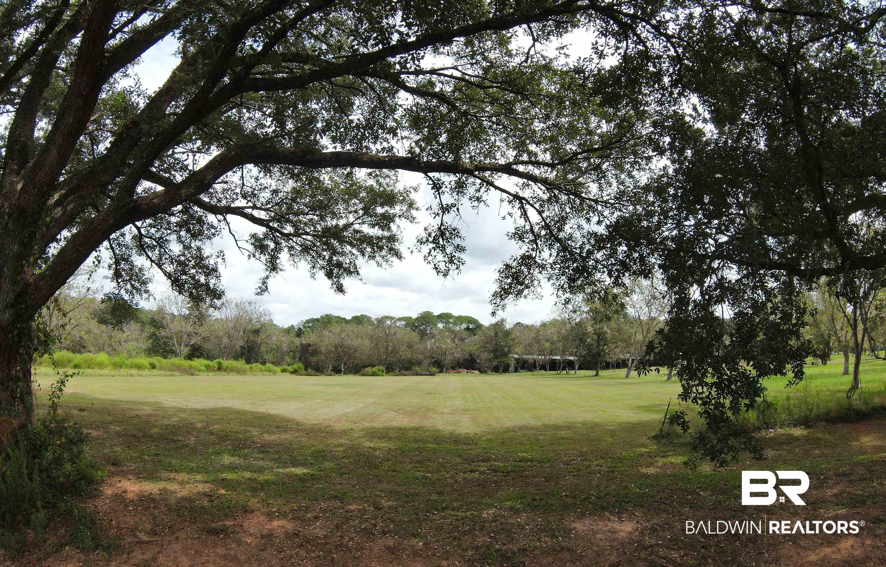 19310 County Road 33 Fairhope, AL 36532 - Photo 3 of 5 View of green lawn