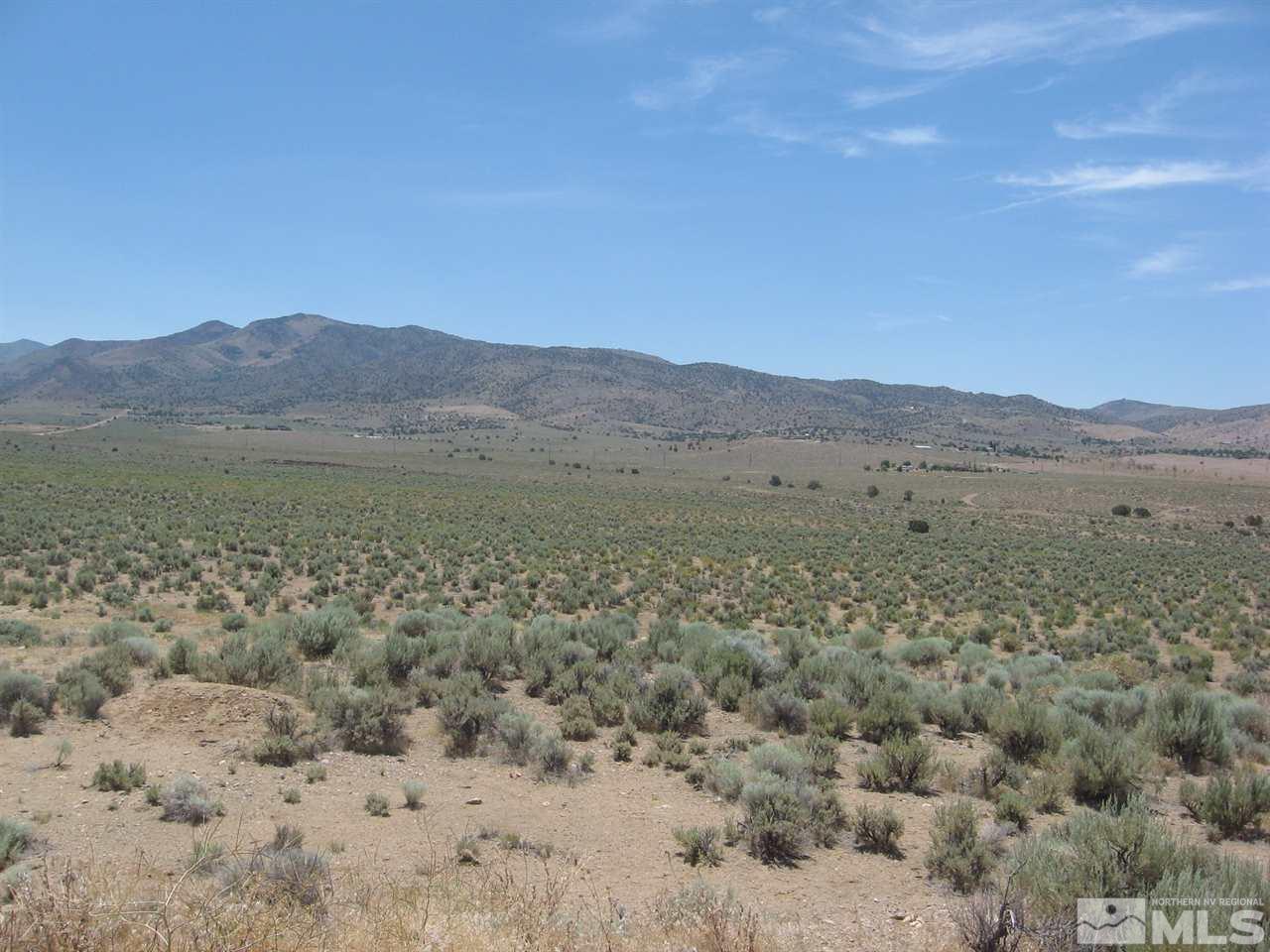 4255 Wild Horse Road Reno, NV 89510 - Photo 6 of 19 Photo 6
