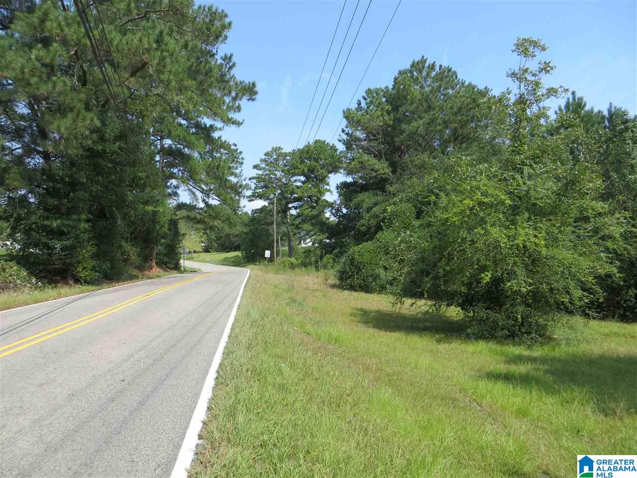801 Cedar Springs Road, Unit Z AC Weaver, AL 36277 - Photo 2 of 19