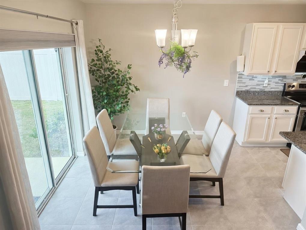 3048 Bethpage Loop Mount Dora, FL 32757 - Photo 11 of 51