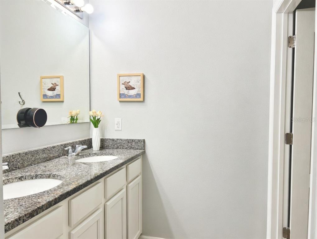 3048 Bethpage Loop Mount Dora, FL 32757 - Photo 26 of 51