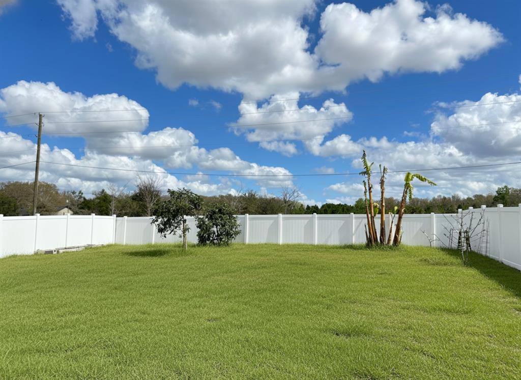 3048 Bethpage Loop Mount Dora, FL 32757 - Photo 29 of 51