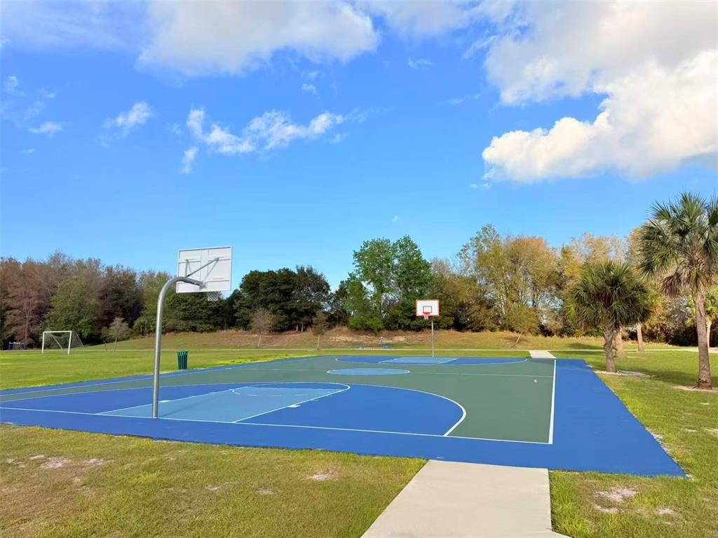 3048 Bethpage Loop Mount Dora, FL 32757 - Photo 40 of 51