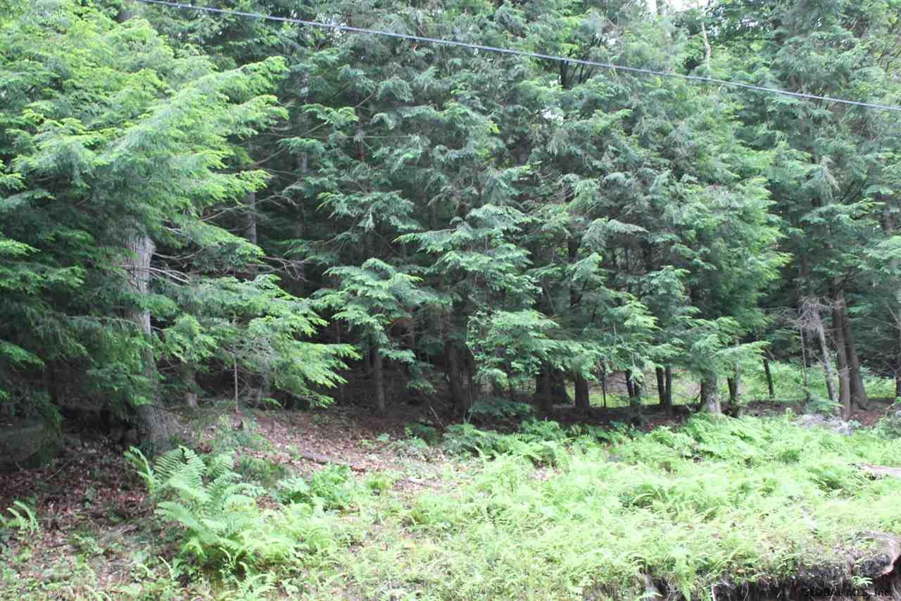 326 Military Road Edinburg, NY 12134 - Photo 3 of 6 Photo 3