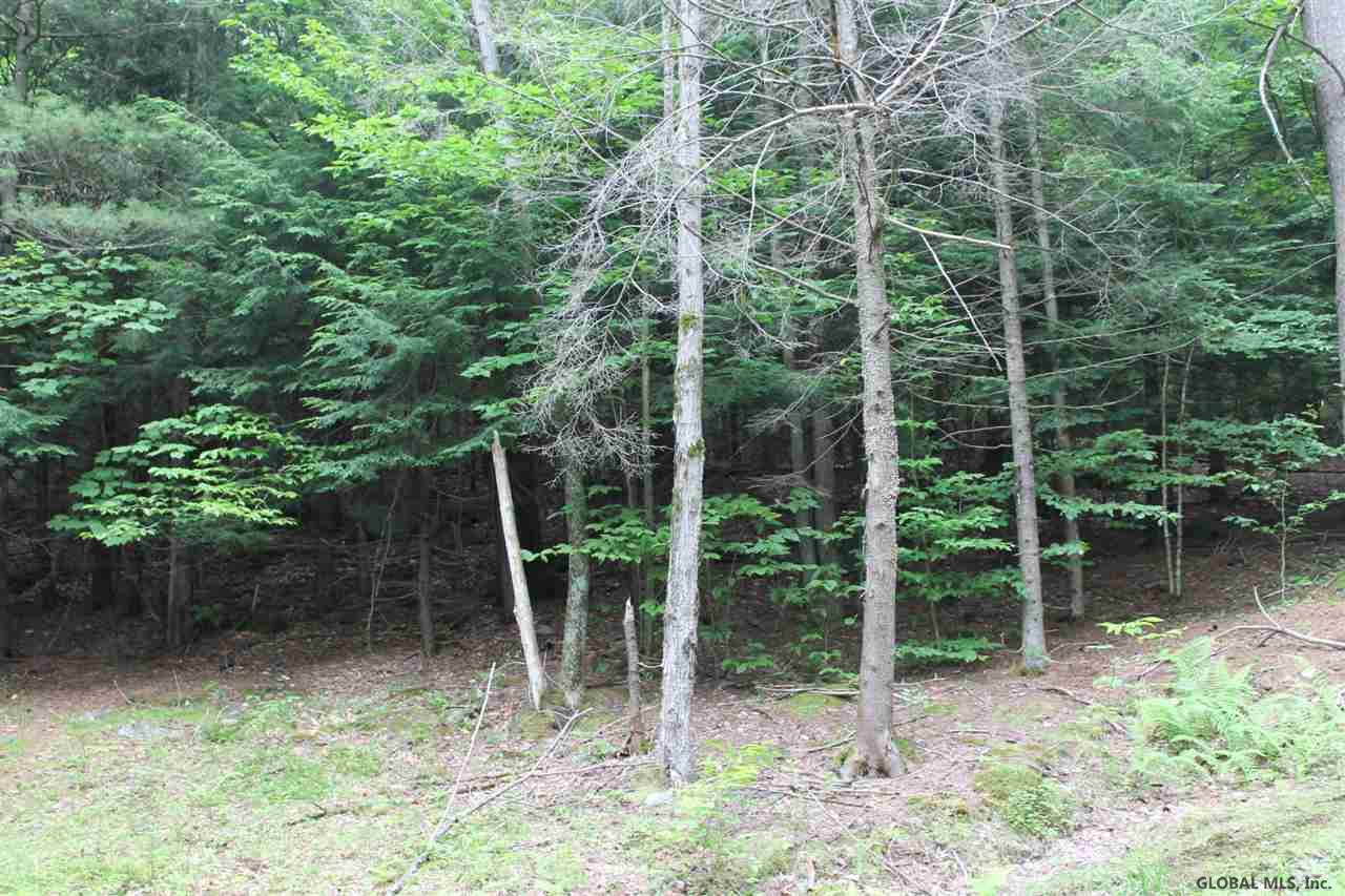 326 Military Road Edinburg, NY 12134 - Photo 6 of 6 Photo 6