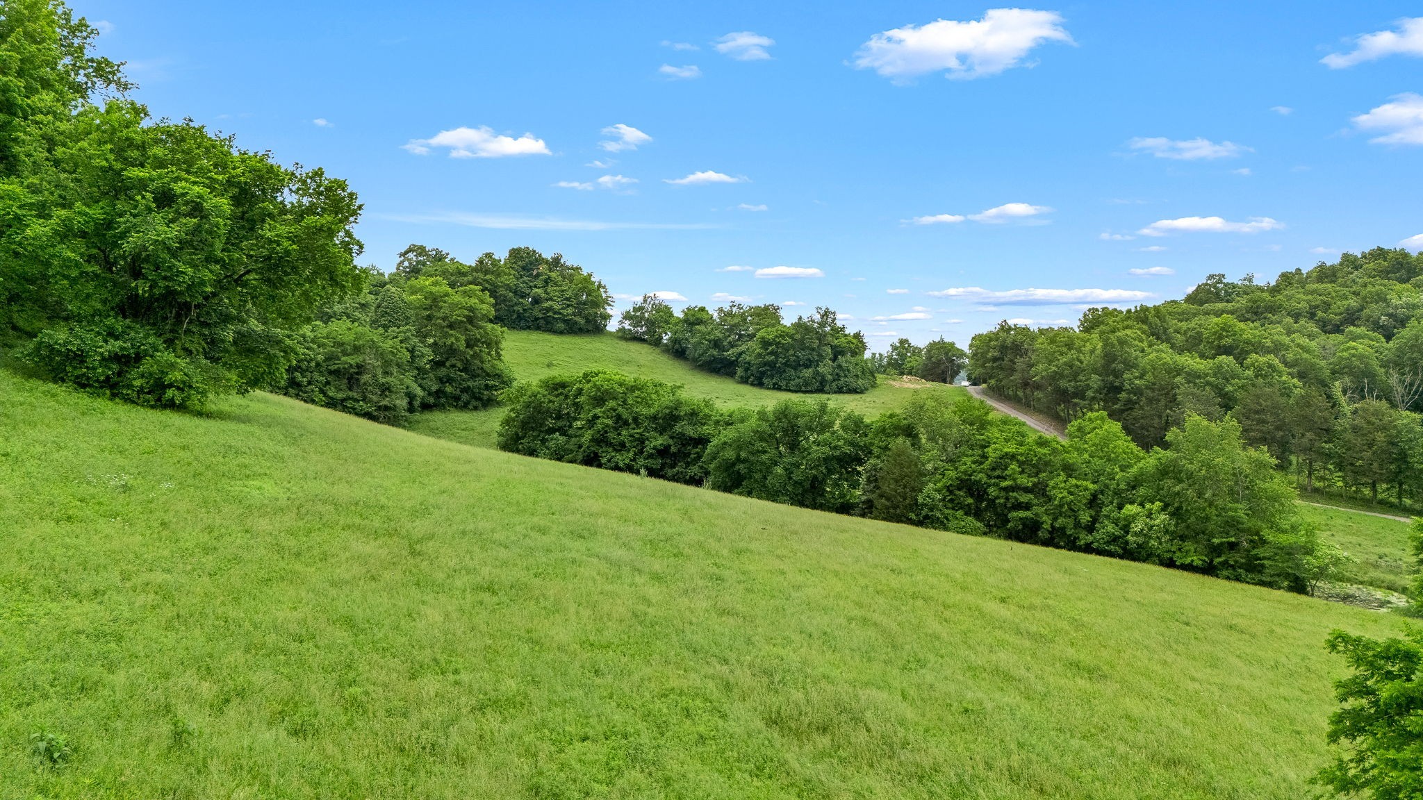 0 Short Road Lewisburg, TN 37091 - Photo 4 of 15
