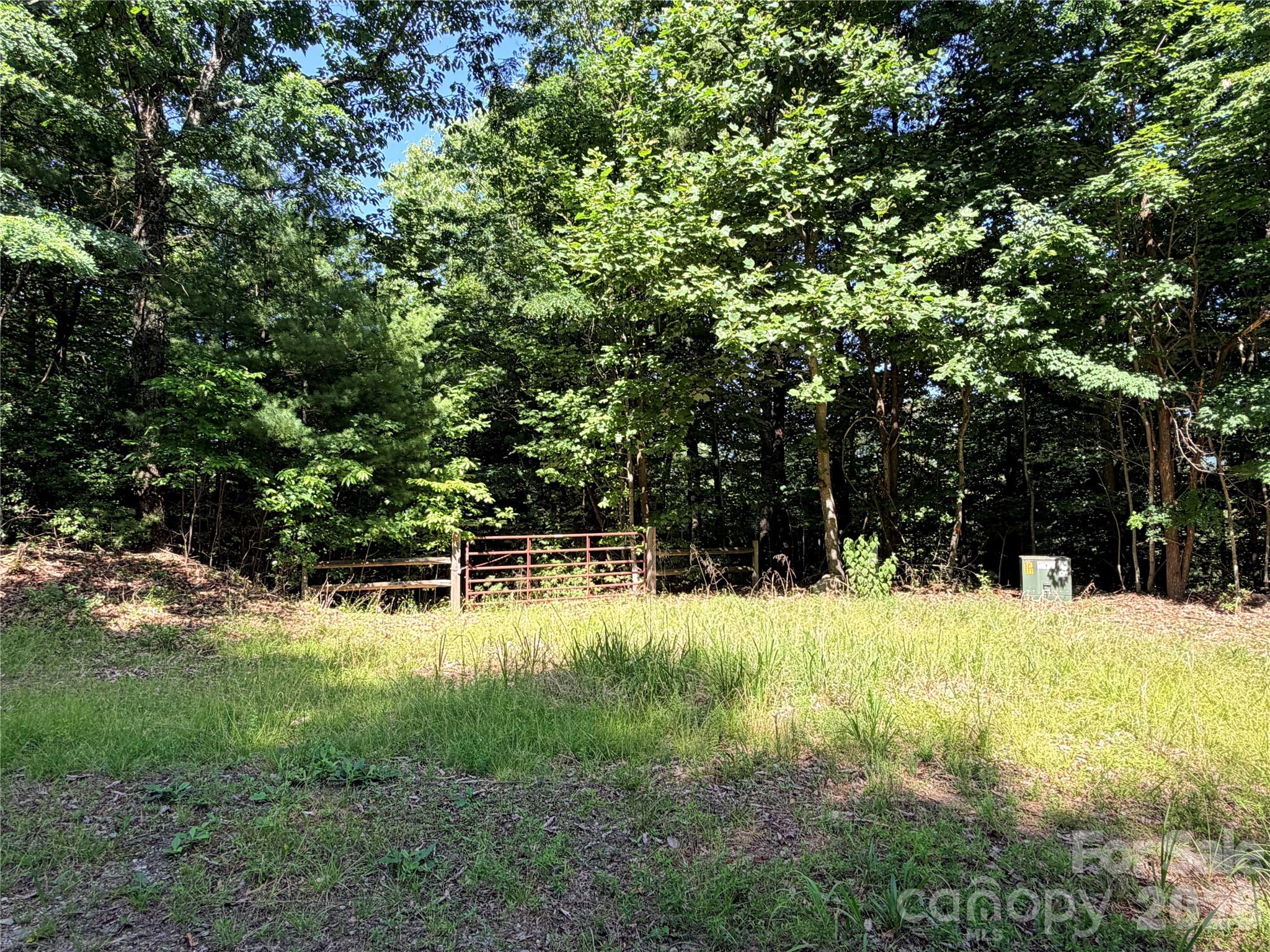 Tbd Blue Rock Road, Unit 171 & 172B Purlear, NC 28665 - Photo 1 of 44