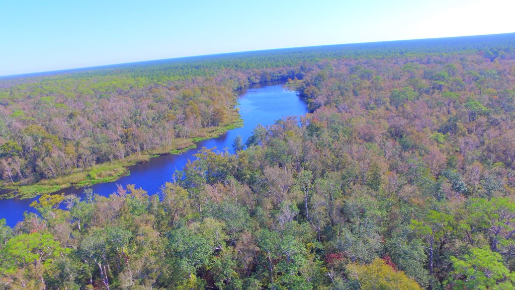 925 Hickory Hammock Road Carrabelle, FL 32322 - Photo 17 of 25 Gallery Image 17
