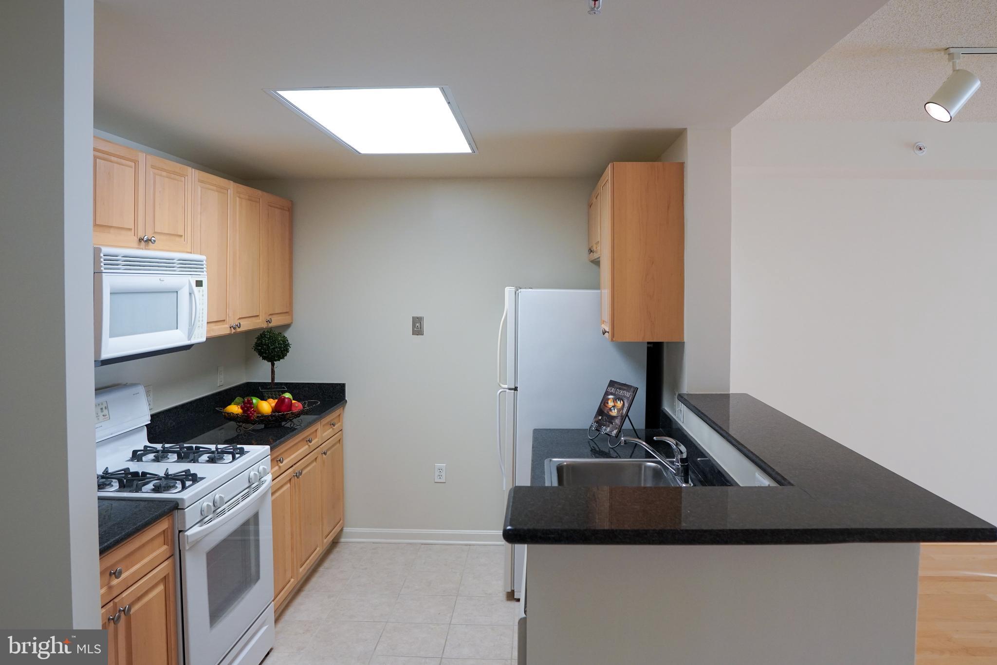 2726 Gallows Road, Unit 417 Vienna, VA 22180 - Photo 3 of 28 Kitchen
