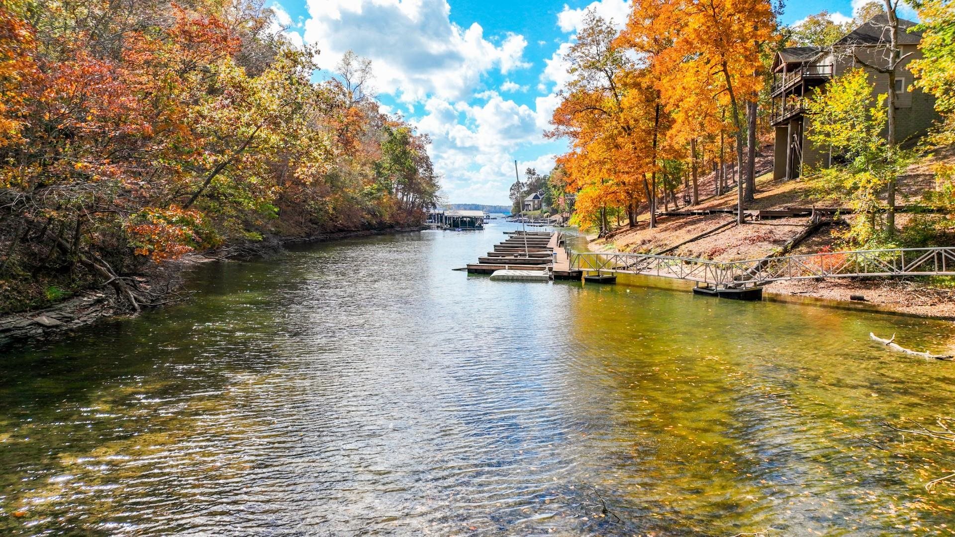 123 Breeze Point Savannah, TN 38372 - Photo 23 of 32 a view of an ocean with trees
