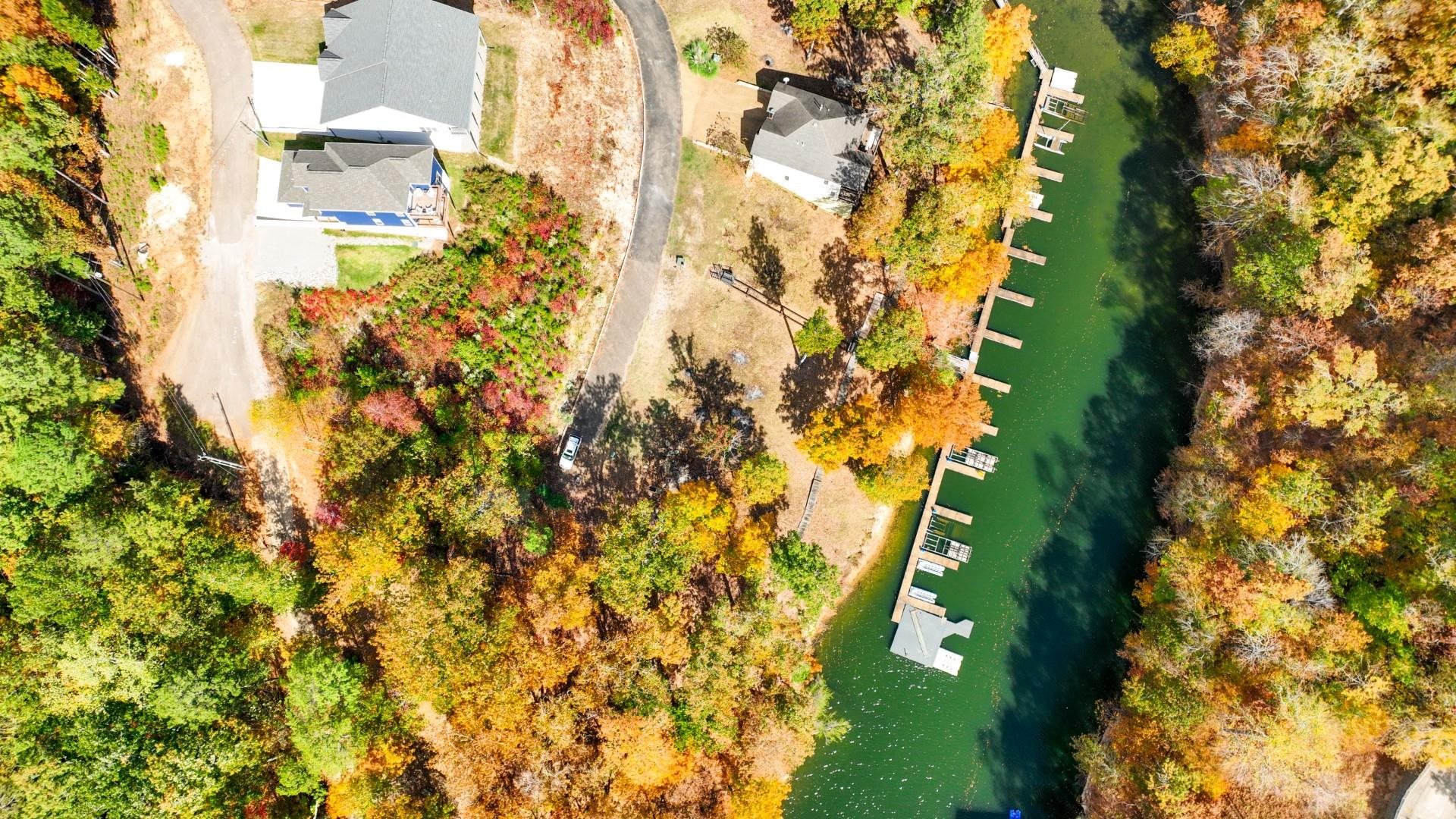 123 Breeze Point Savannah, TN 38372 - Photo 5 of 32 a close up of a flower in a garden