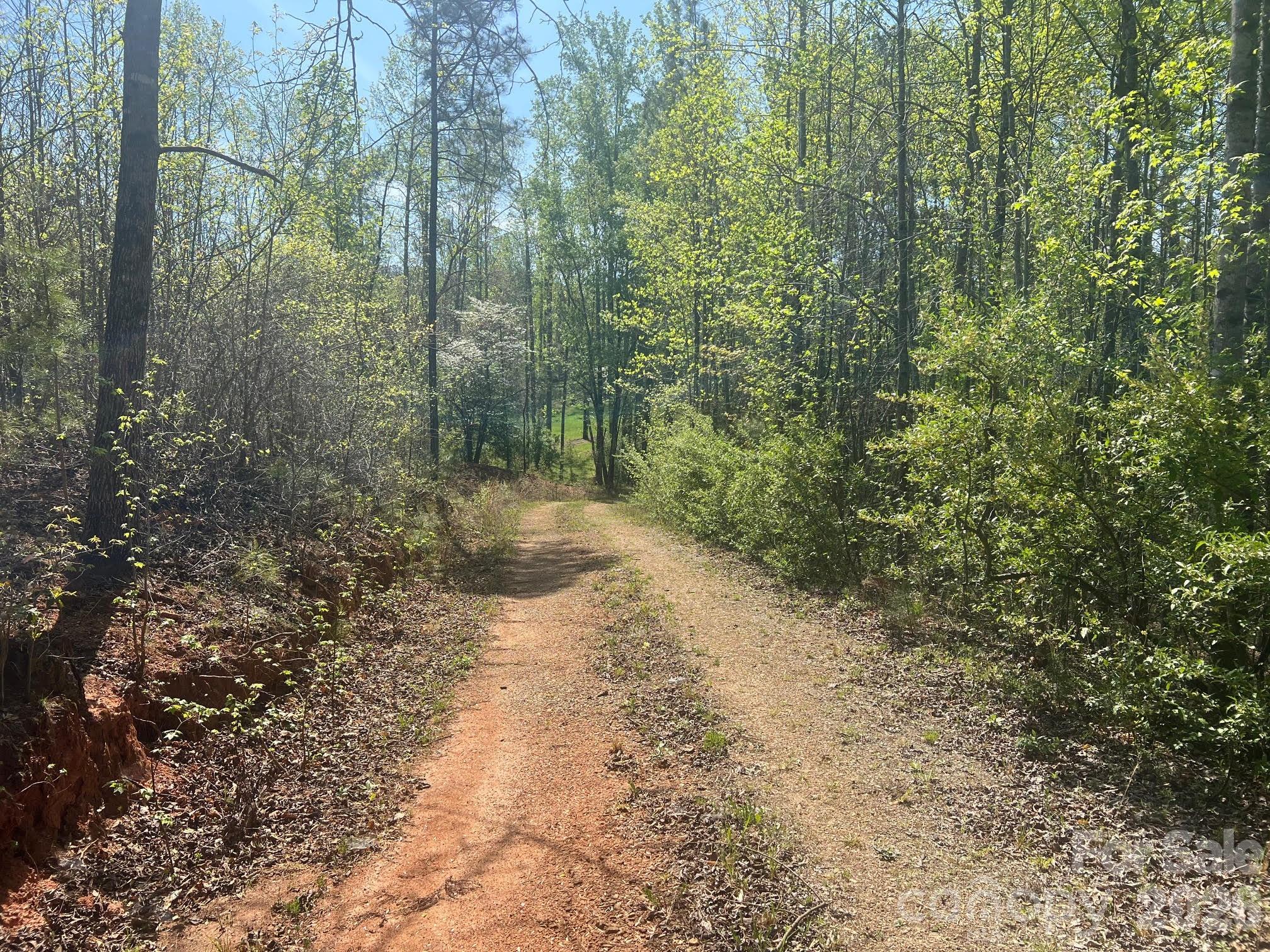 6374 Peniel Road Tryon, NC 28782 - Photo 14 of 22