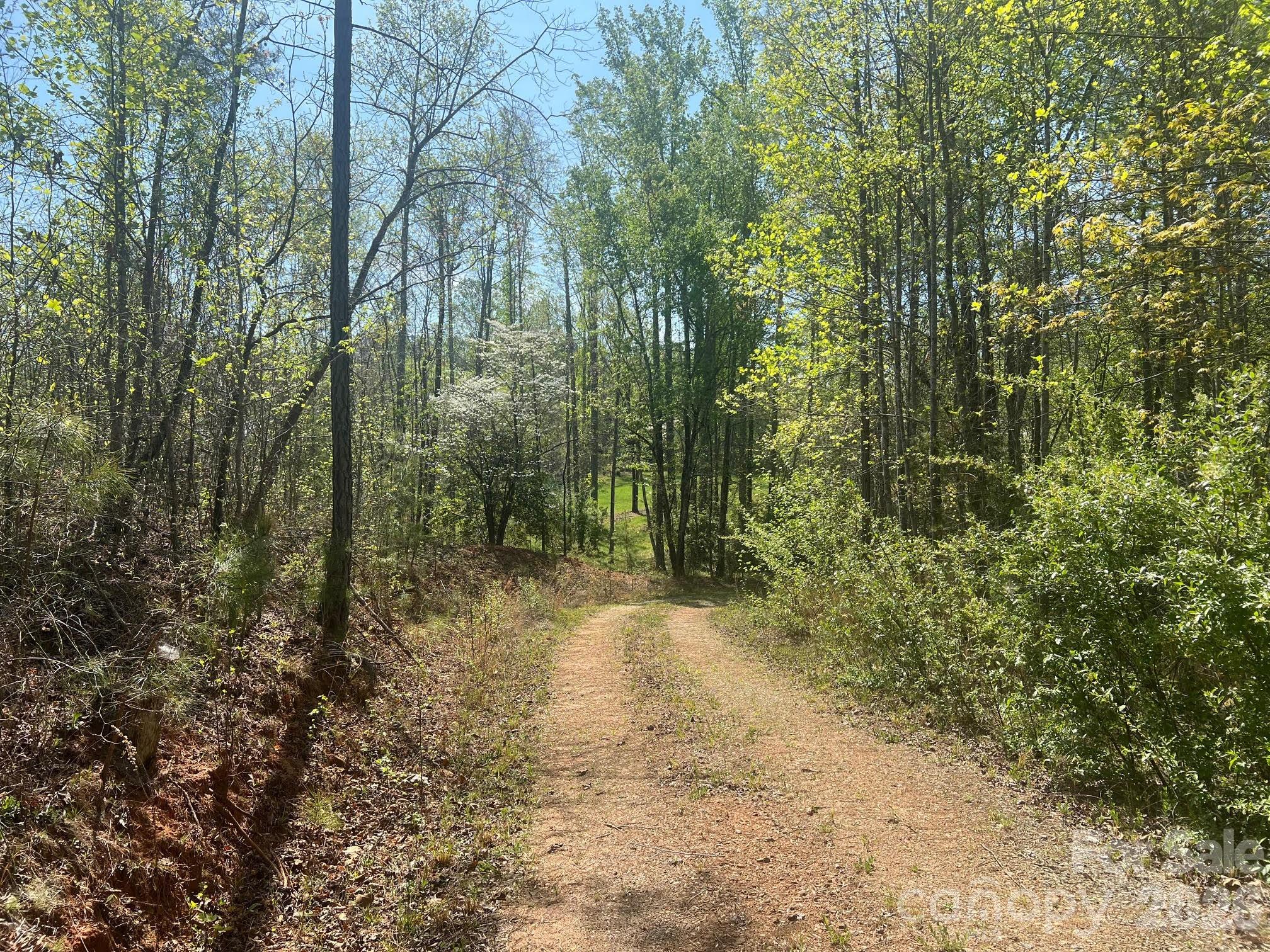 6374 Peniel Road Tryon, NC 28782 - Photo 15 of 22