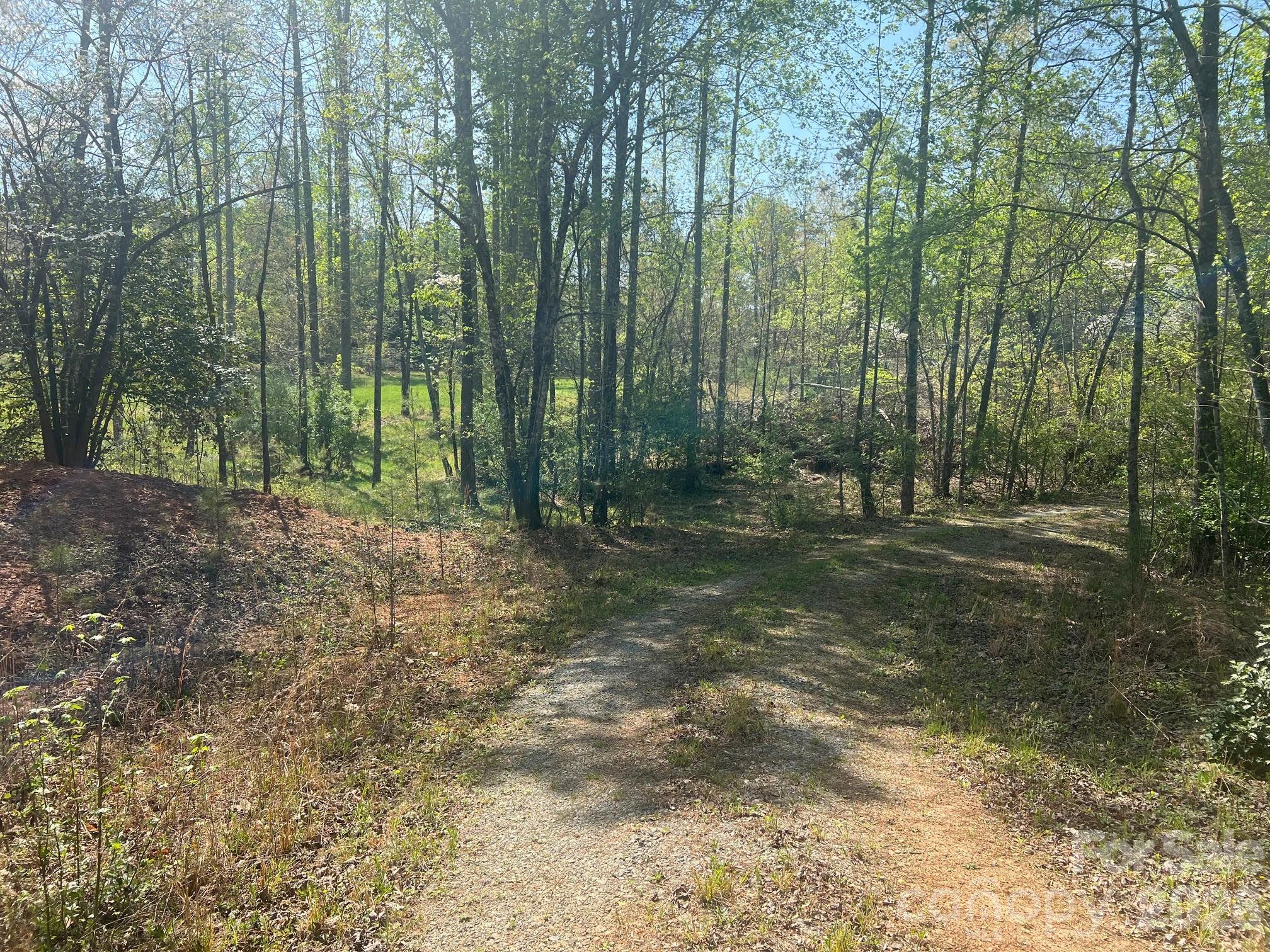 6374 Peniel Road Tryon, NC 28782 - Photo 16 of 22