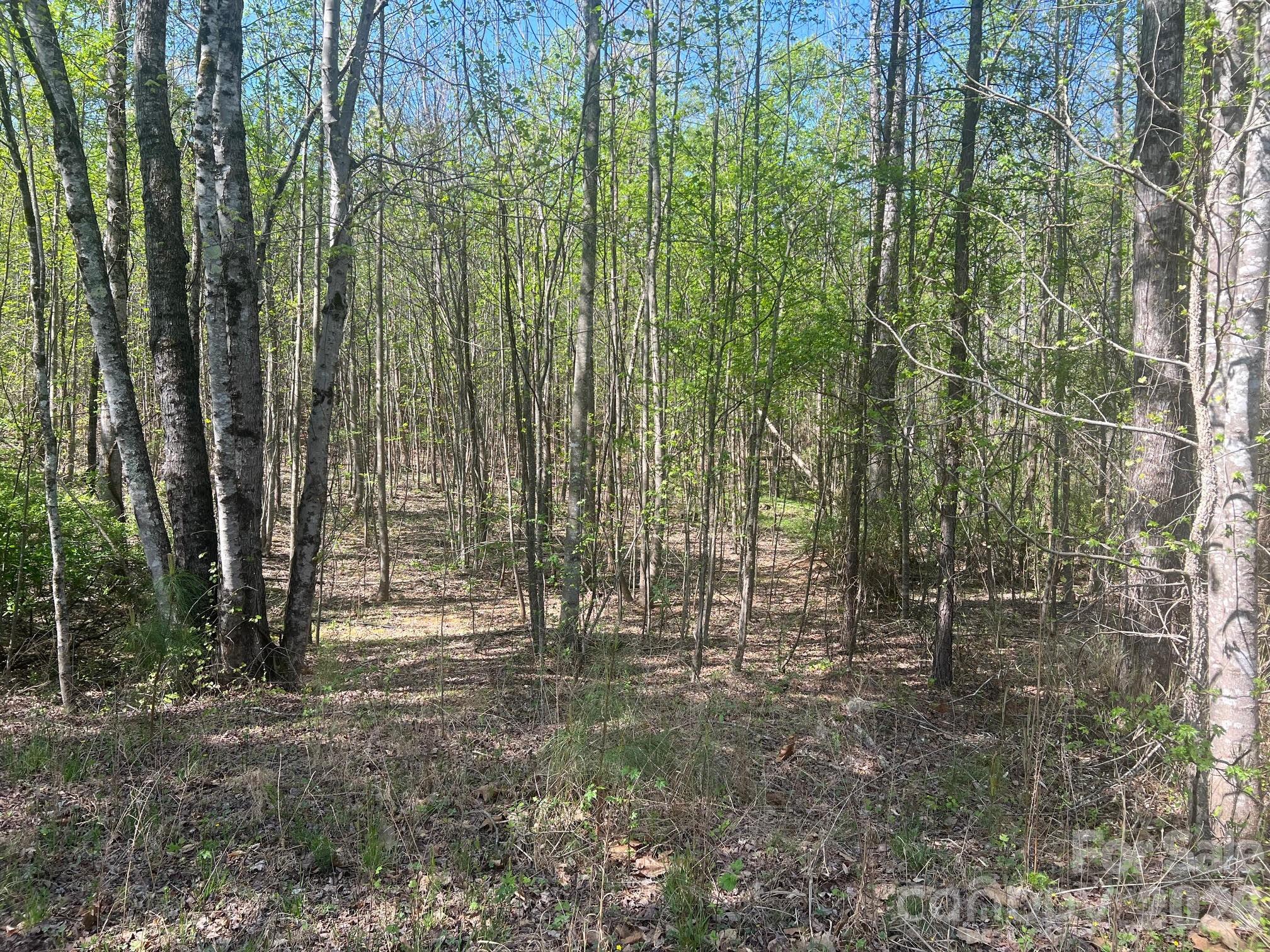 6374 Peniel Road Tryon, NC 28782 - Photo 17 of 22