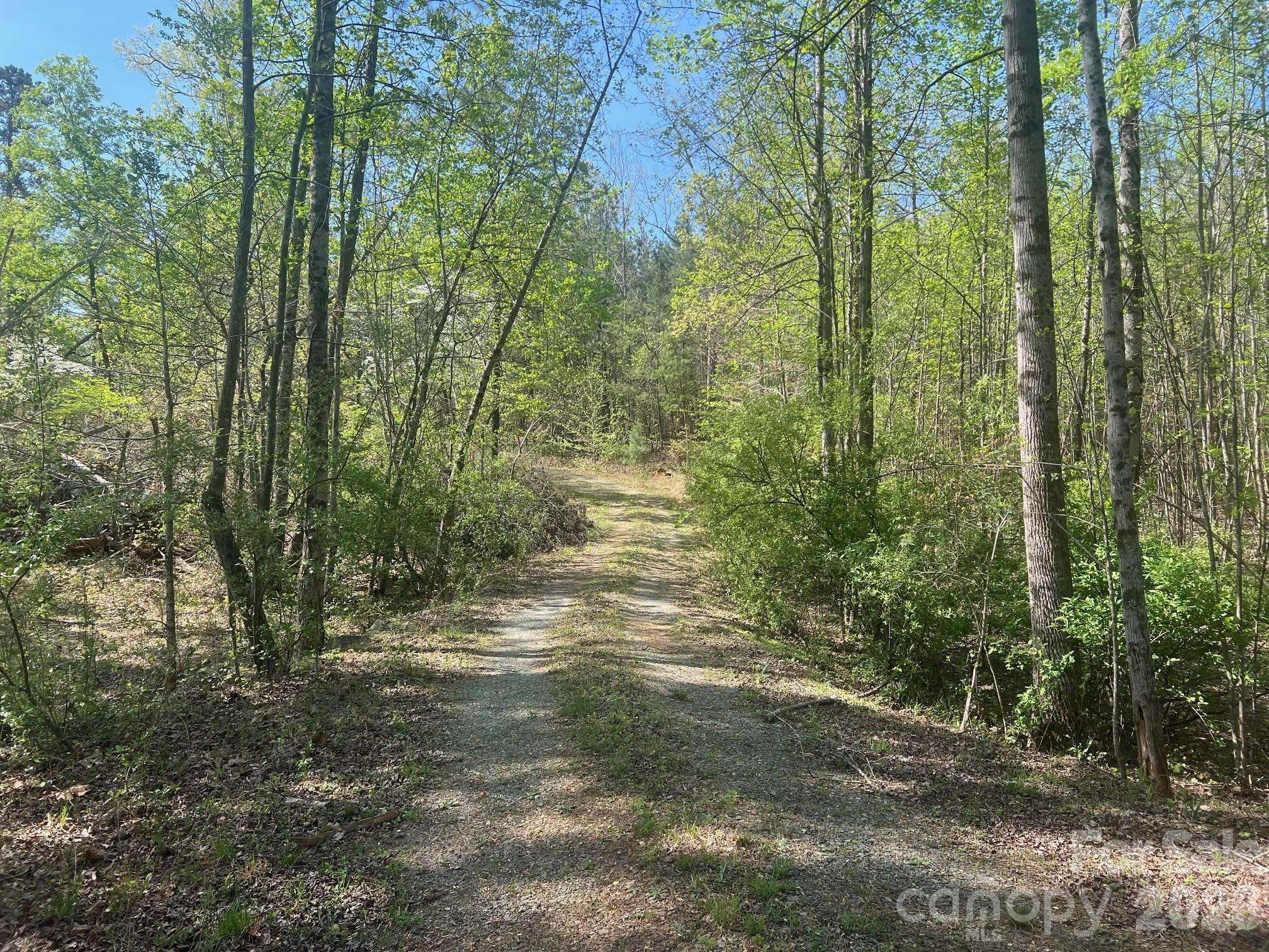 6374 Peniel Road Tryon, NC 28782 - Photo 18 of 22