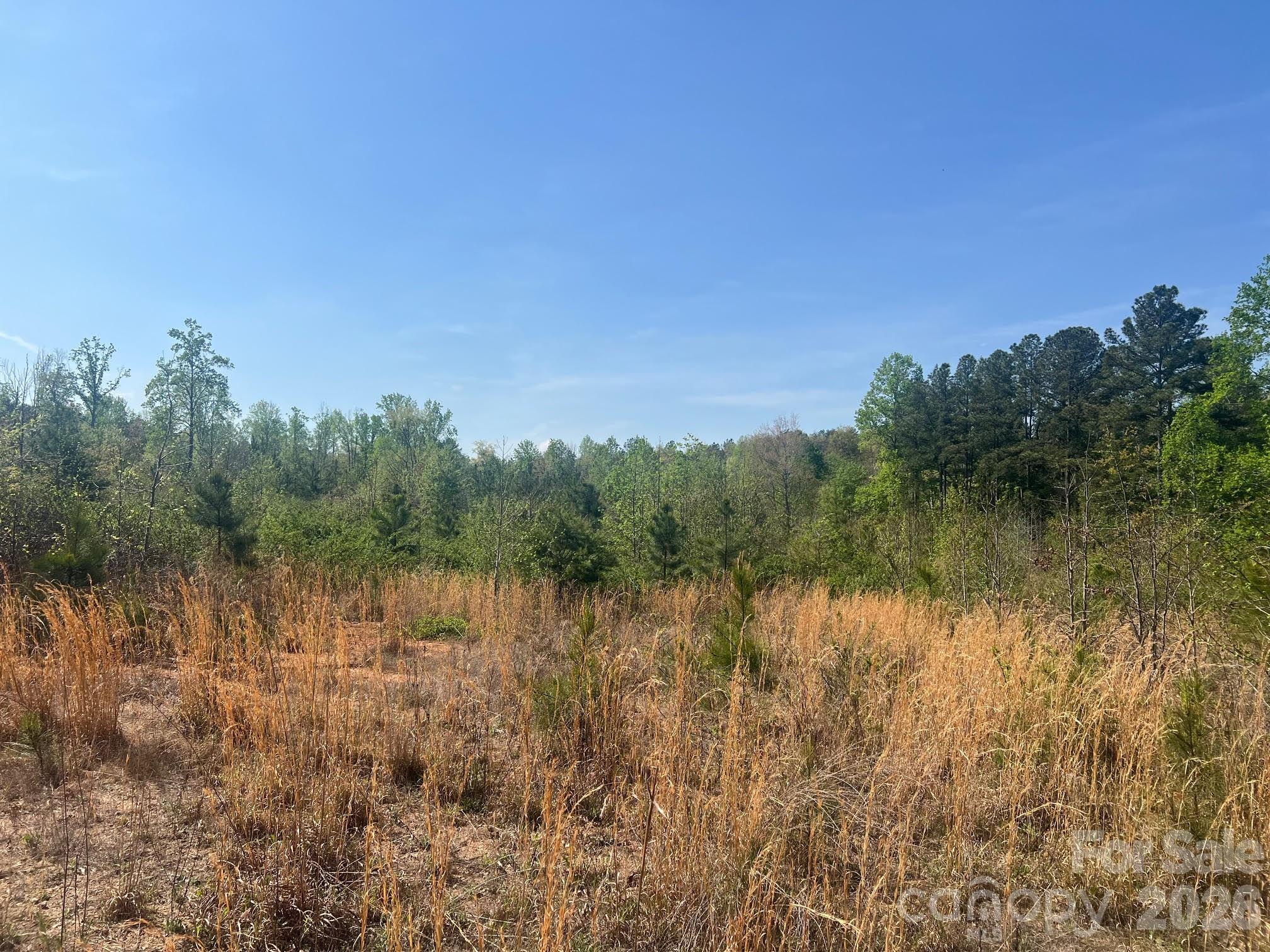 6374 Peniel Road Tryon, NC 28782 - Photo 2 of 22