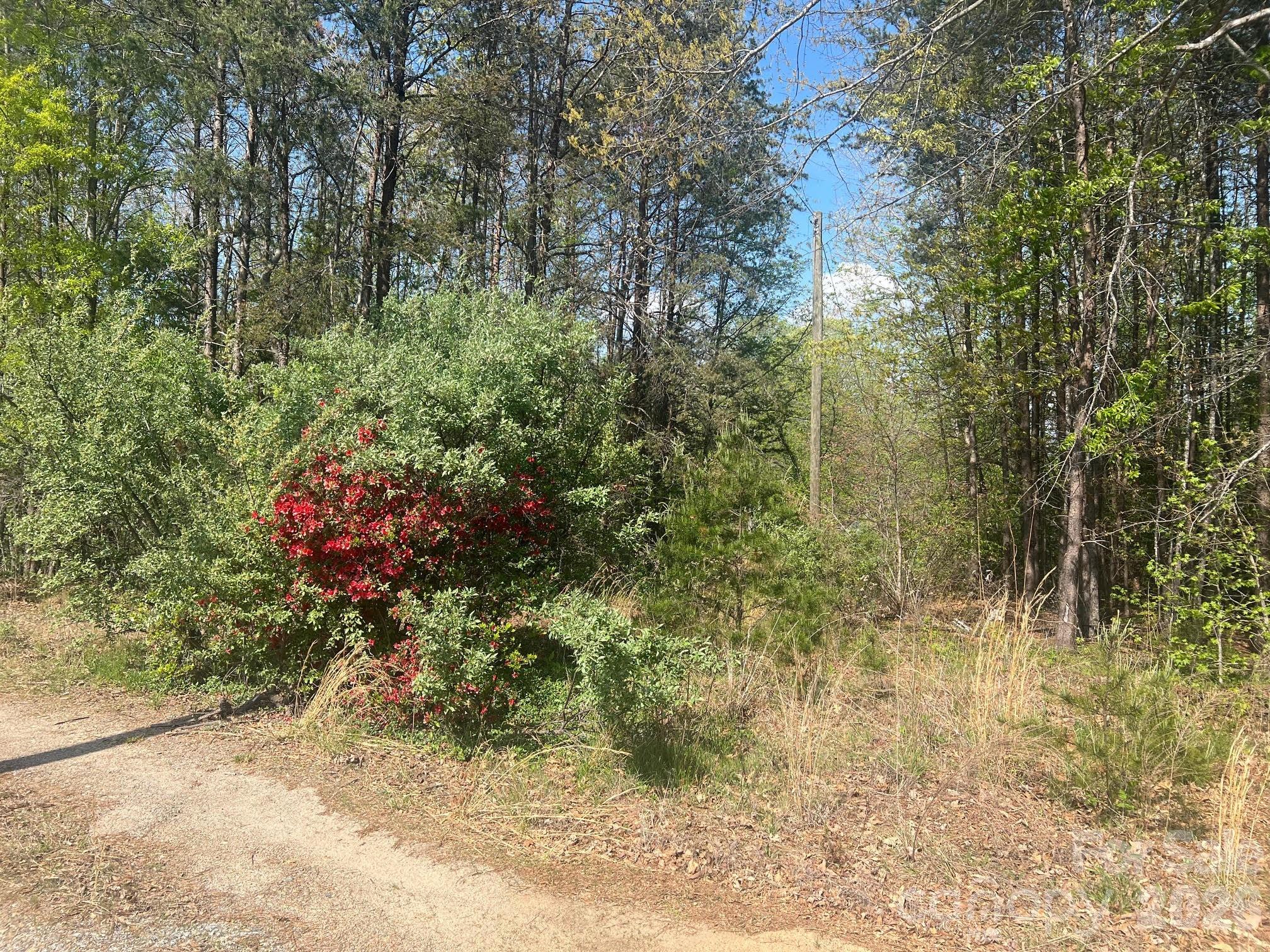 6374 Peniel Road Tryon, NC 28782 - Photo 4 of 22
