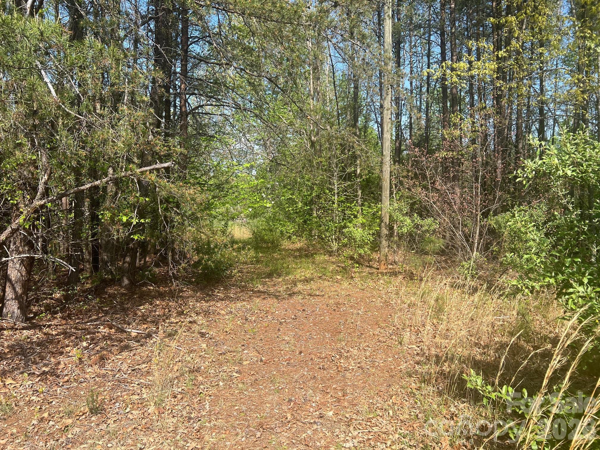 6374 Peniel Road Tryon, NC 28782 - Photo 5 of 22