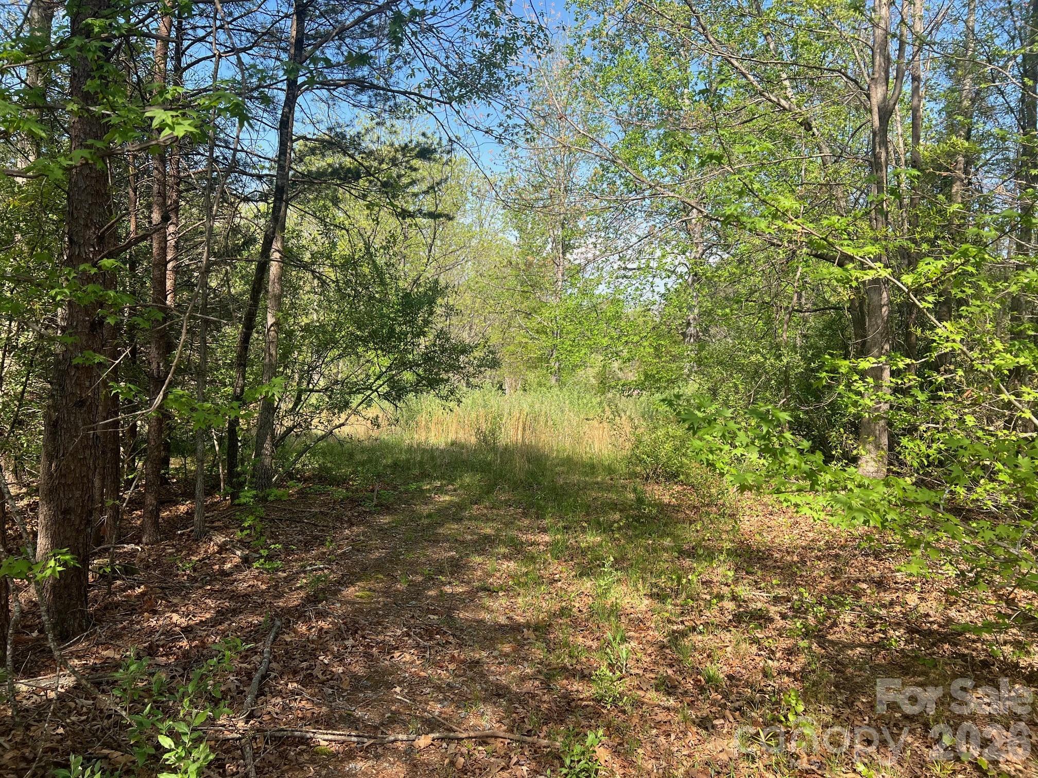 6374 Peniel Road Tryon, NC 28782 - Photo 6 of 22